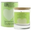 Свеча ароматическая Animikados, Absolutely Fabulous, Зеленый чай и лайм, 40 ч., Ambientair
