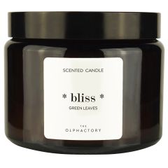 Свеча ароматическая The Olphactory, Bliss, Green Rhubarb, 60 ч, Ambientair