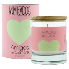 Свеча ароматическая Animikados, Friends for life, Красные ягоды, 40 ч., Ambientair