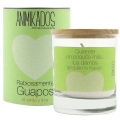 Свеча ароматическая Animikados, Absolutely Fabulous, Зеленый чай и лайм, 40 ч., Ambientair
