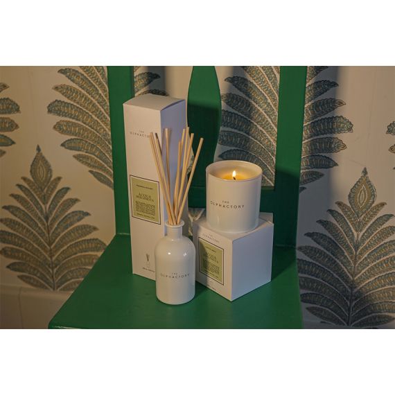 Свеча ароматическая The Olphactory, White Insignia, Acqua Bergamota, 60 ч, Ambientair, изображение 3