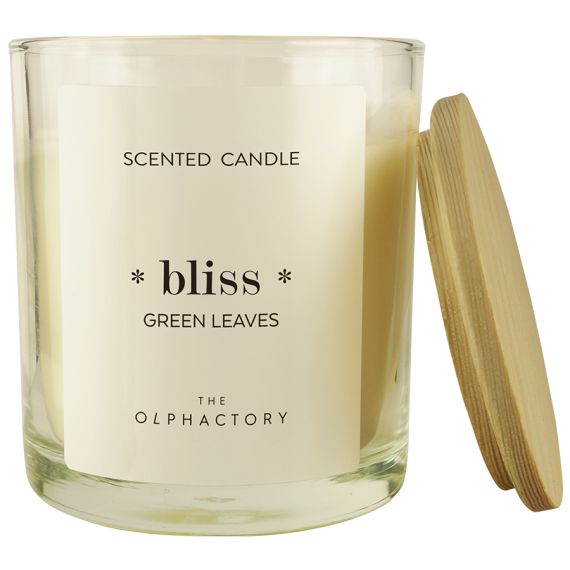 Свеча ароматическая The Olphactory, Bliss, Green Rhubarb, 40 ч, Ambientair