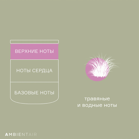 Свеча ароматическая Sublime, Черный бамбук, 40 ч, Ambientair, изображение 6