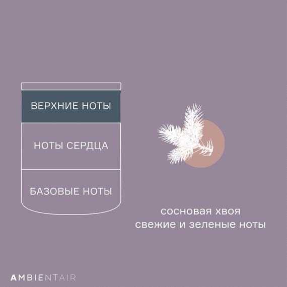Свеча ароматическая Enchanted Forest, Белый жасмин, 40 ч, Ambientair, изображение 7
